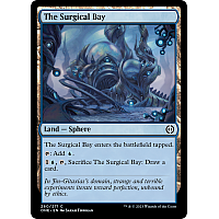 The Surgical Bay (Foil)