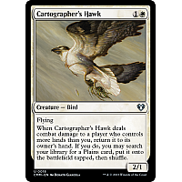 Cartographer's Hawk (Foil)
