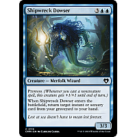 Shipwreck Dowser (Foil)