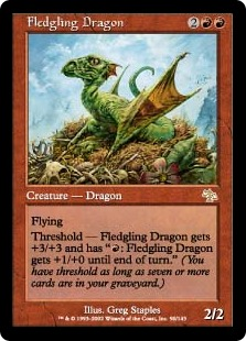 Fledgling Dragon_boxshot