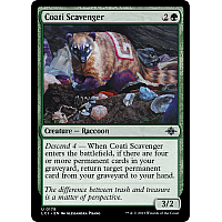 Coati Scavenger