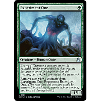 Experiment One (Foil)