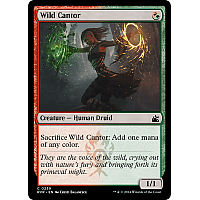 Wild Cantor