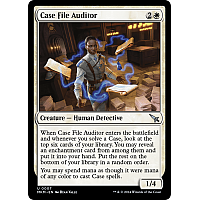 Case File Auditor (Foil)