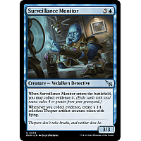 Surveillance Monitor (Foil)
