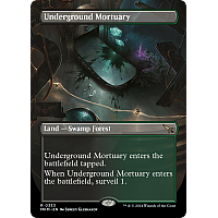 Underground Mortuary (Borderless)