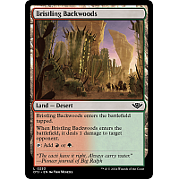 Bristling Backwoods
