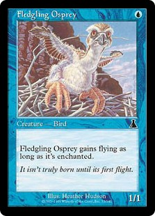 Fledgling Osprey_boxshot