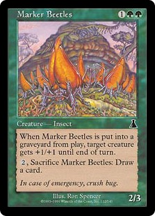 Marker Beetles_boxshot