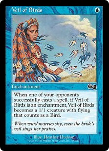 Veil of Birds_boxshot