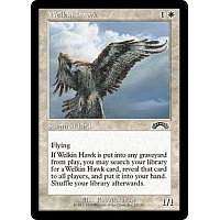 Welkin Hawk