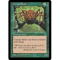 Canopy Spider
