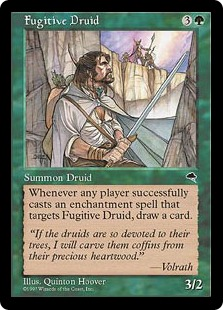 Fugitive Druid_boxshot