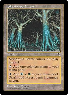 Skyshroud Forest_boxshot