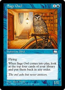 Sage Owl_boxshot