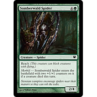 Somberwald Spider