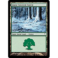 Snow-Covered Forest