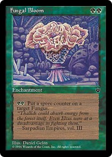 Fungal Bloom_boxshot