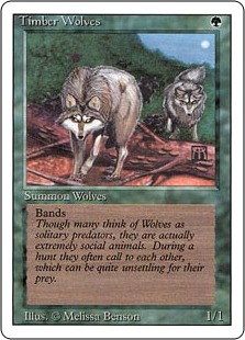 Timber Wolves_boxshot