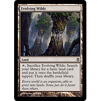 Evolving Wilds