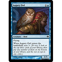 Augury Owl