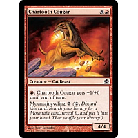 Chartooth Cougar