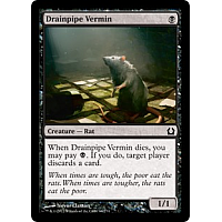 Drainpipe Vermin