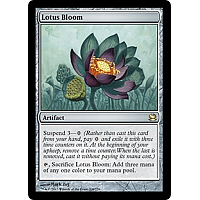 Lotus Bloom