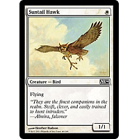Suntail Hawk