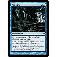 Xenograft