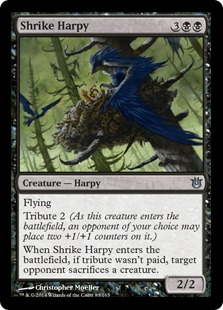 Shrike Harpy_boxshot