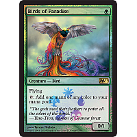 Birds of Paradise (Buy-a-Box)