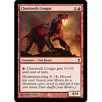 Chartooth Cougar