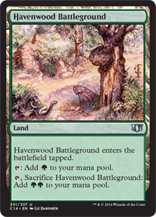 Havenwood Battleground_boxshot