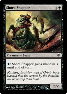 Shore Snapper_boxshot