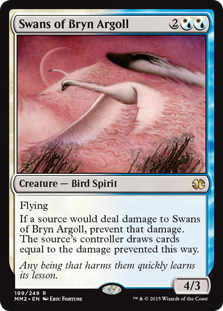 Swans of Bryn Argoll_boxshot