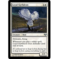 Loyal Gyrfalcon