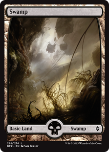 Swamp (Full art) (Foil)_boxshot