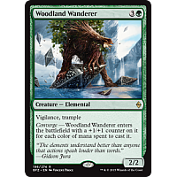 Woodland Wanderer