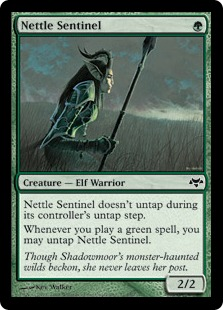 Nettle Sentinel_boxshot