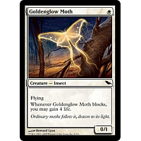 Goldenglow Moth