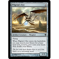 Pilgrim's Eye