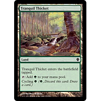 Tranquil Thicket