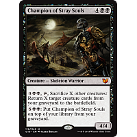 Champion of Stray Souls