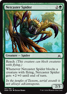 Netcaster Spider_boxshot