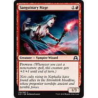 Sanguinary Mage