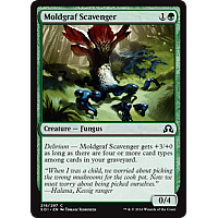 Moldgraf Scavenger