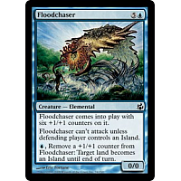 Floodchaser