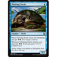 Thriving Turtle