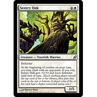 Sentry Oak